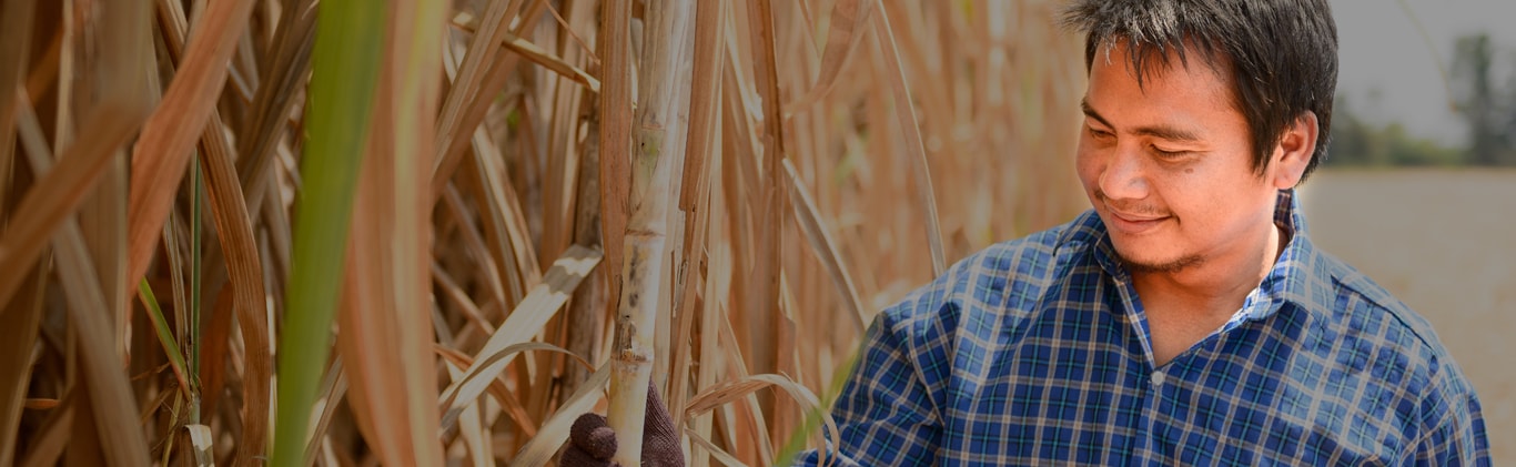 PGDM in Rural Agribusinness management