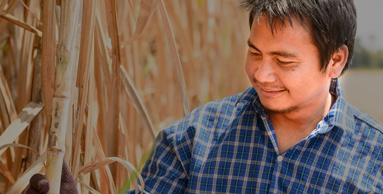 PGDM in Rural Agribusinness management